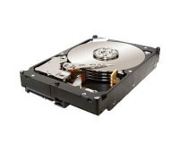 Seagate  Constellation 2TB (ST32000644NS)